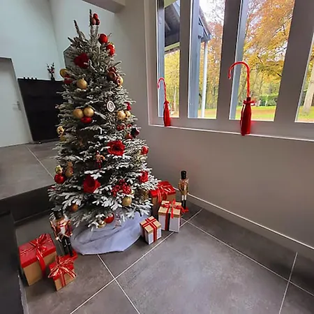 Nalan Godvicien, Spa, Piscine Chauffee, Foret, 14 Pers * Gouvieux