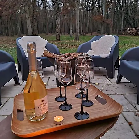 Nalan Godvicien, Spa, Piscine Chauffee, Foret, 14 Pers Holiday home