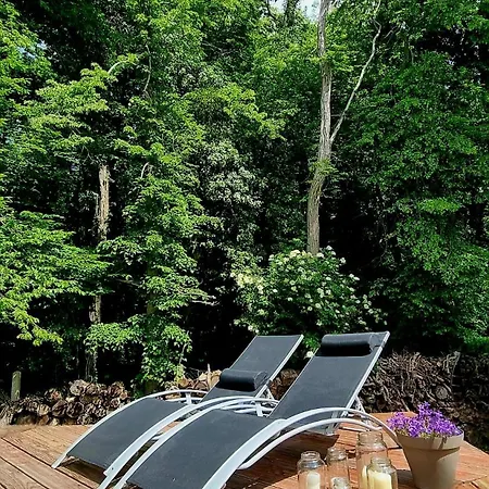 Holiday home Nalan Godvicien, Spa, Piscine Chauffee, Foret, 14 Pers *